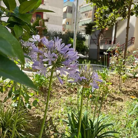 Apartment Tranquillo *